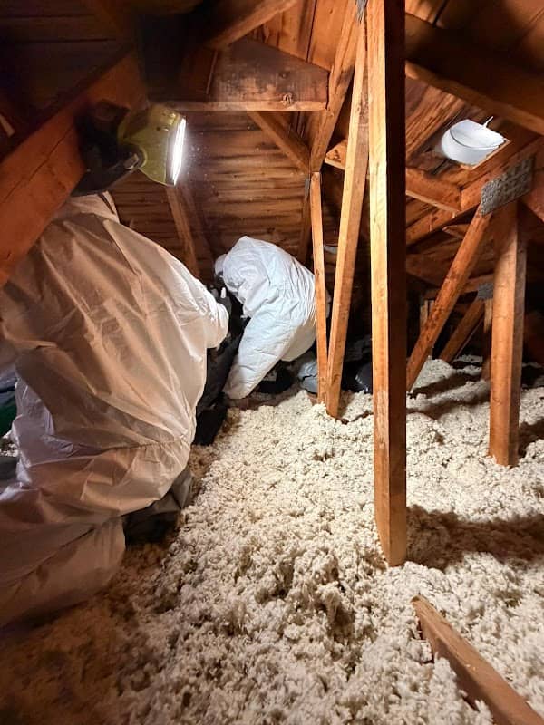 Mold Inspection & Testing work photographed by Canada's Restoration Services