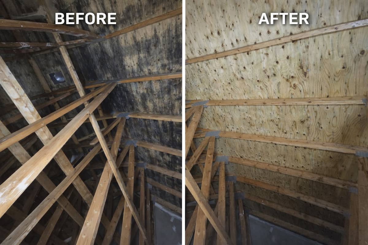 Water Damage Restoration work photographed by Mold Solutions Canada